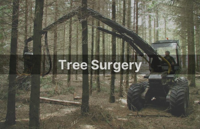 tree surgery tmfs.ie